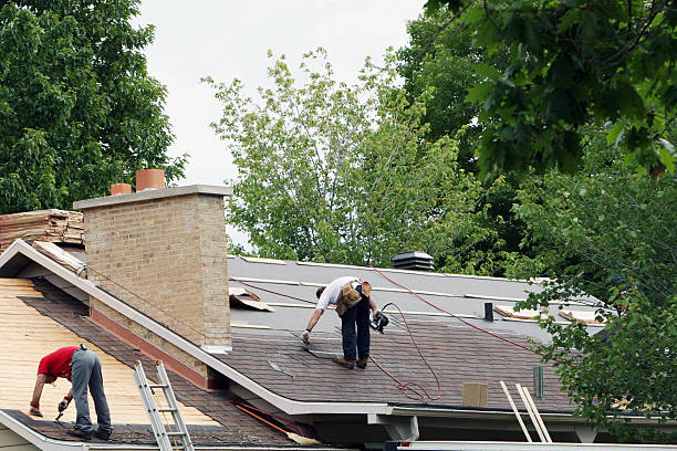 Best Local Roofing Companies  in Montgomery, WV